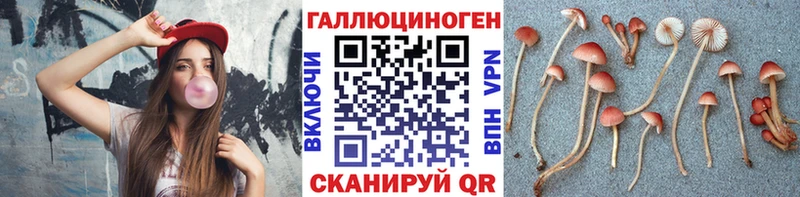 Галлюциногенные грибы Psilocybe  Дубовка 